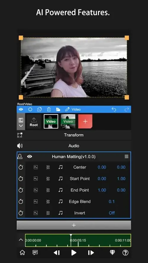 Node Video â€“ Pro Video Editor