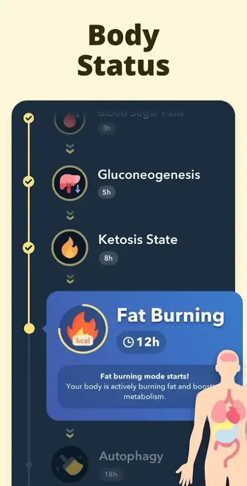 Fasting â€“ Intermittent Fasting