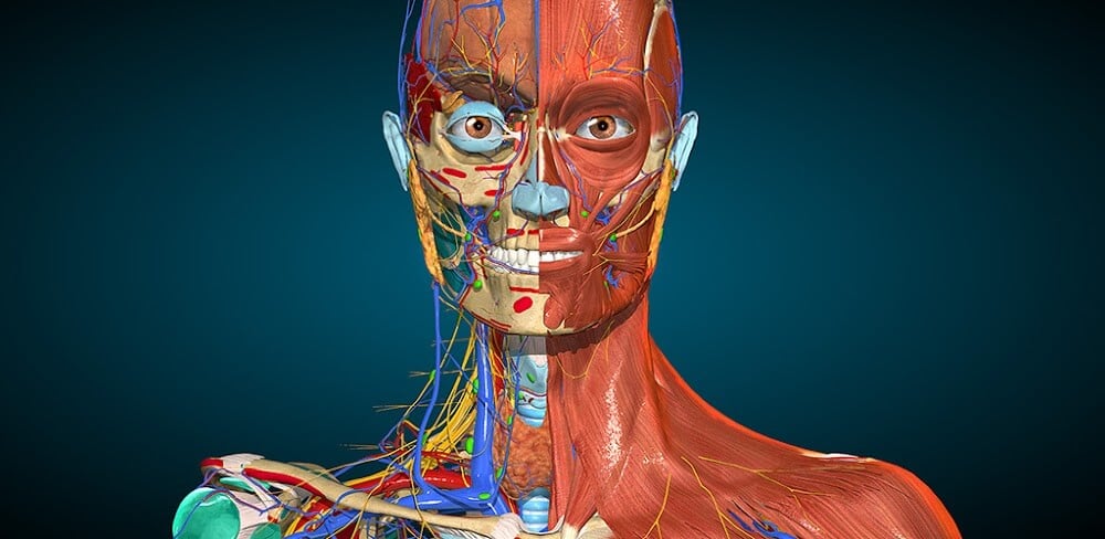 Anatomy Learning – 3D Anatomy Mod APK (Full version Unlocked)