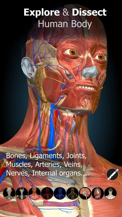 Anatomy Learning â€“ 3D Anatomy