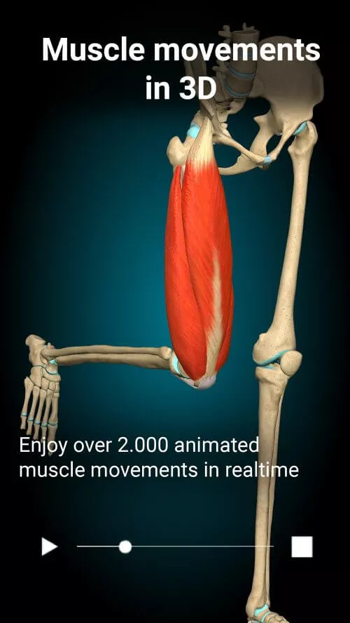 Anatomy Learning â€“ 3D Anatomy