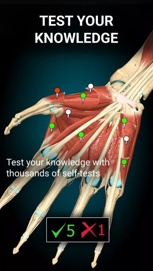 Anatomy Learning â€“ 3D Anatomy