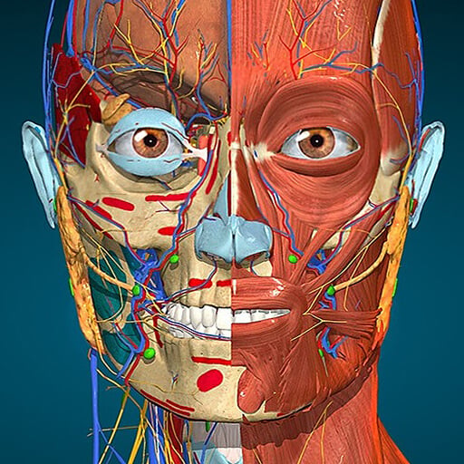 Anatomy Learning – 3D Anatomy Mod APK (Full version Unlocked)