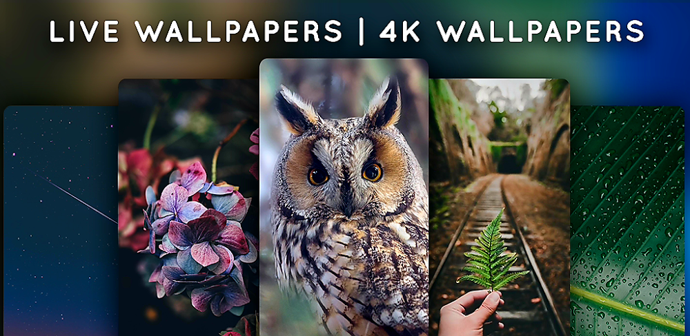 Live Wallpapers Mod APK (Premium Unlocked)